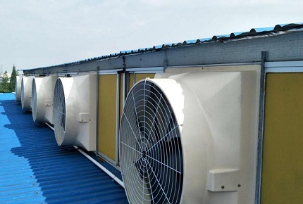 Instrucciones para la cría de ganado: ¿Cómo distinguir el uso de ventiladores de circulación de ventilación y ventiladores de escape en los cobertizos de ganado?