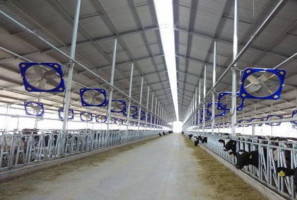 Hit directo en verano