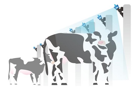 Mantenga sus vacas frescas este verano-Visual-Pulveración de IA