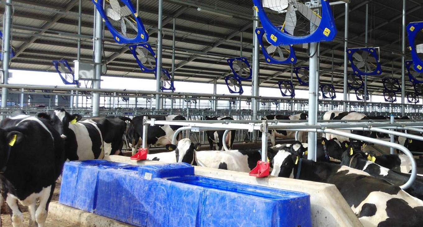 Soluciones de equipos de granja y Rancho