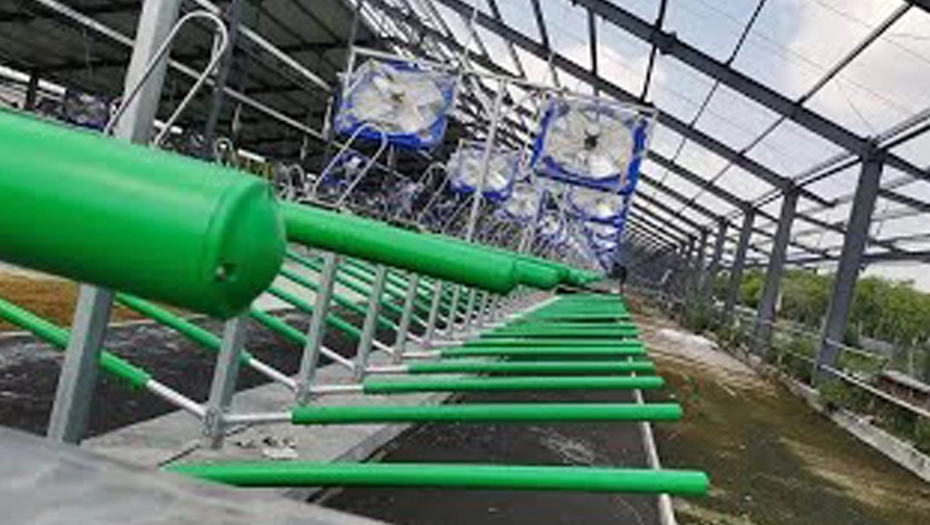 El fabricante de fábrica Terrui, parador libre de vacas, proporciona equipos de Rancho