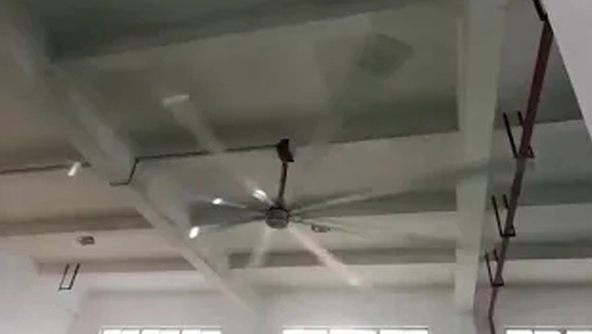 Ventilador industrial de techo industrial de 24 pies, ventilador de techo Hvls industrial, fabricante de 8 hojas, China