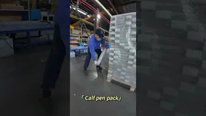 Paquete de bolígrafo de pantorrilla