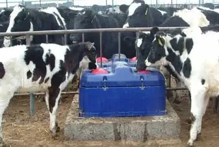 Tres consejos de nutrición para cambiar el juego esta temporada de parto