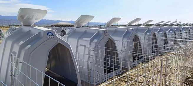 Why Use A Calf Hutch During the Winter Calving Rush? What are the Benefits of Calf Hutch! Why Use A Calf Hutch During the Winter Calving Rush? What are the Benefits of Calf Hutch!