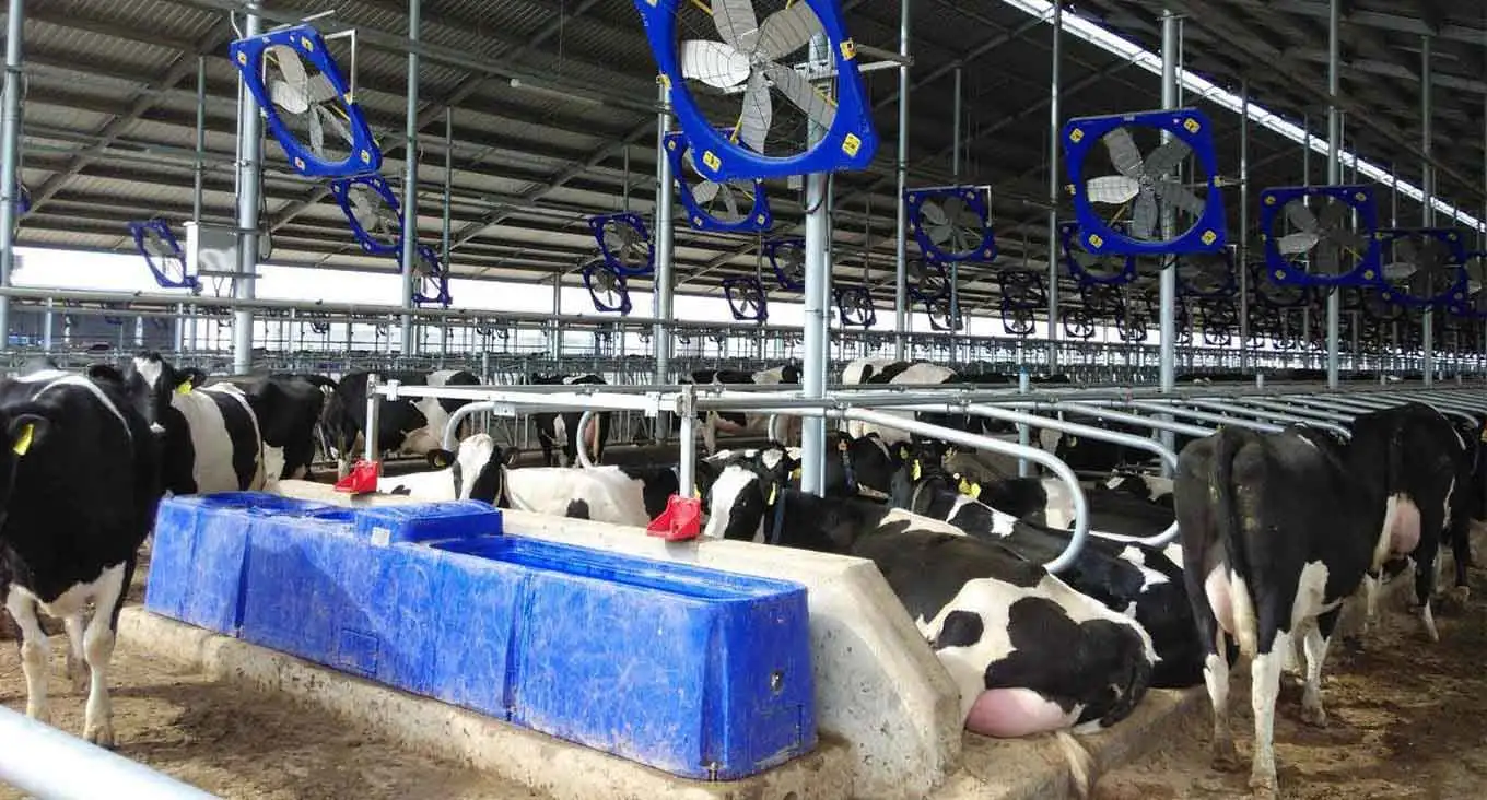 Soluciones de equipos de granja y Rancho