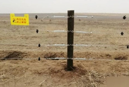 Esgrima invisible de Pastizales: efectos positivos en el ganado