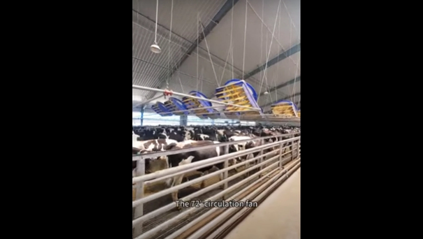 Ventilador de circulación de 72”