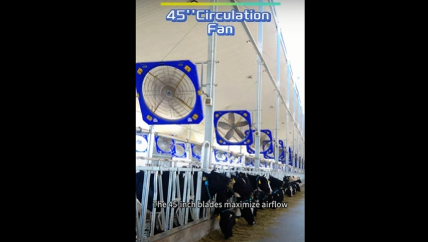 Ventilador de circulación