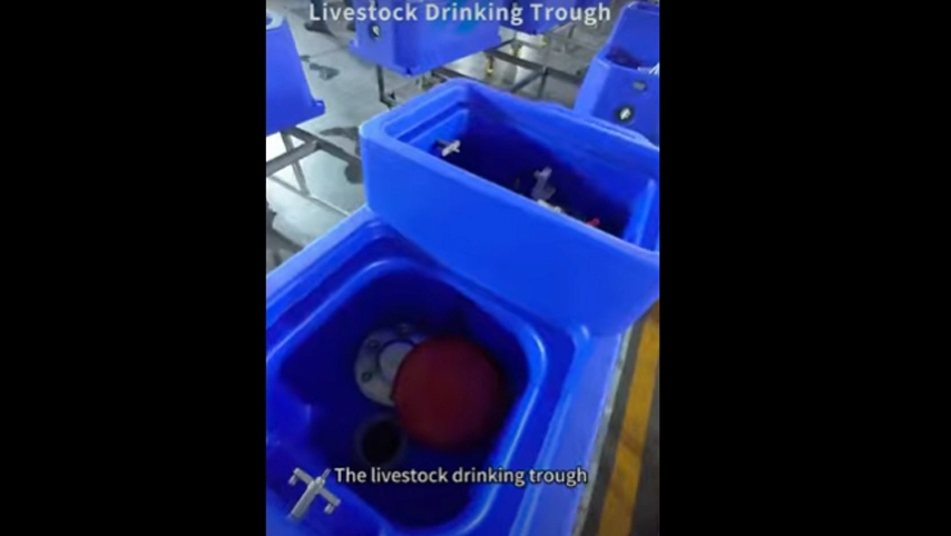 Bebedero para ganado