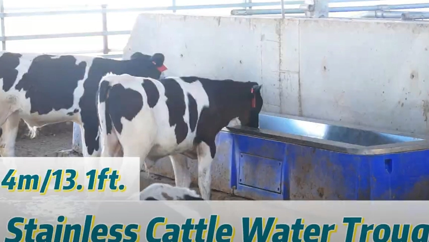 Terrui-4m de agua inoxidable para ganado