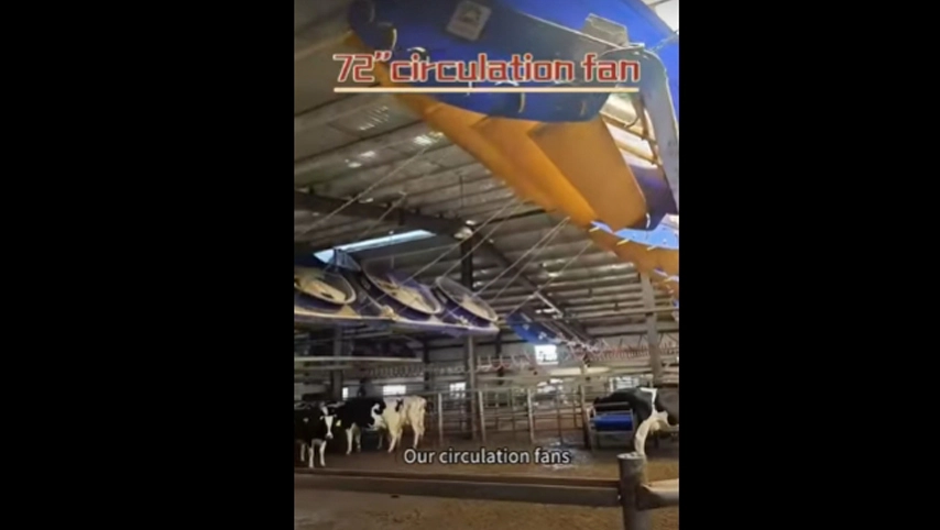 Terrui-72 ''ventilador de circulación