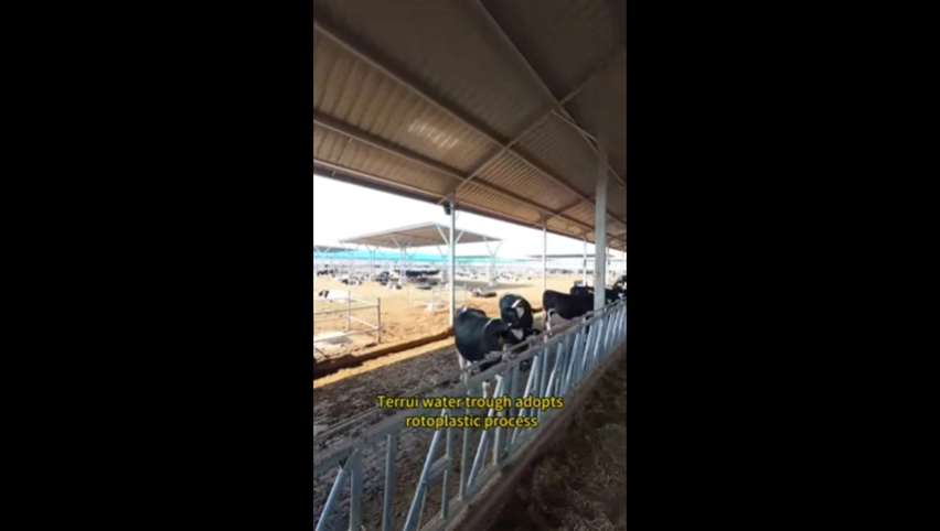 Comedero de agua Terrui