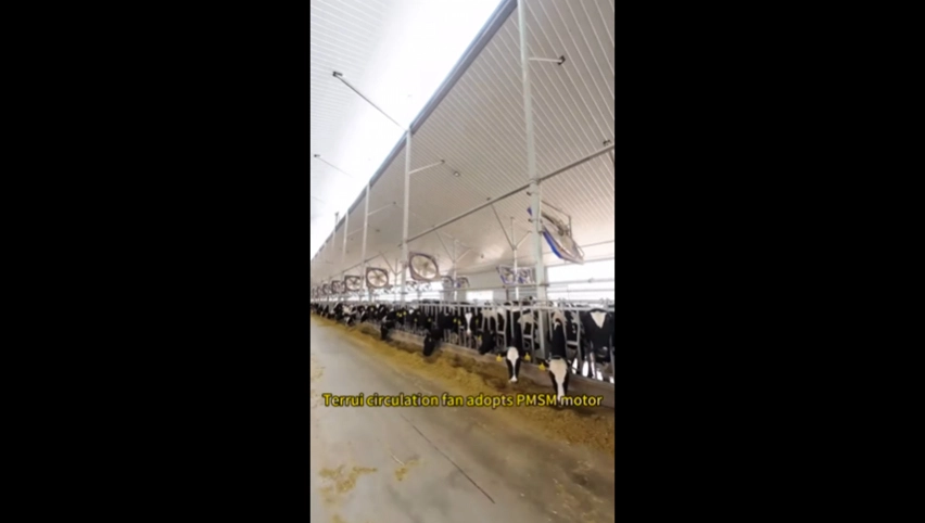 Ventilador de circulación