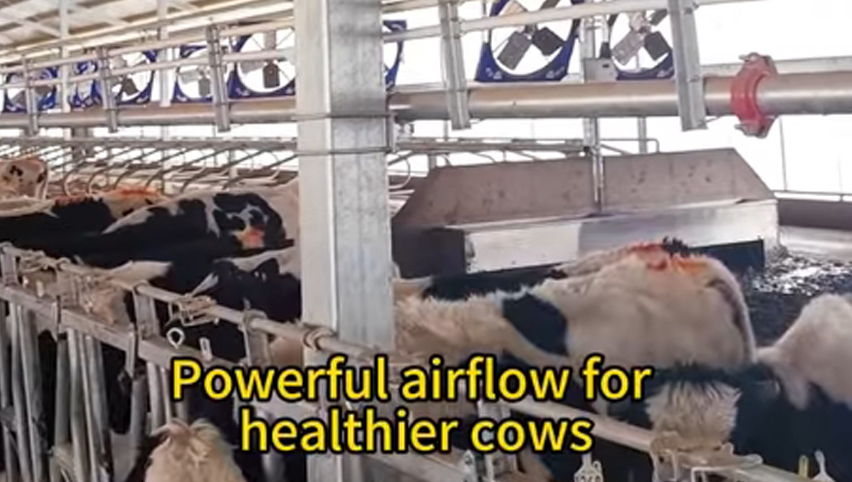 Ventilador de circulación