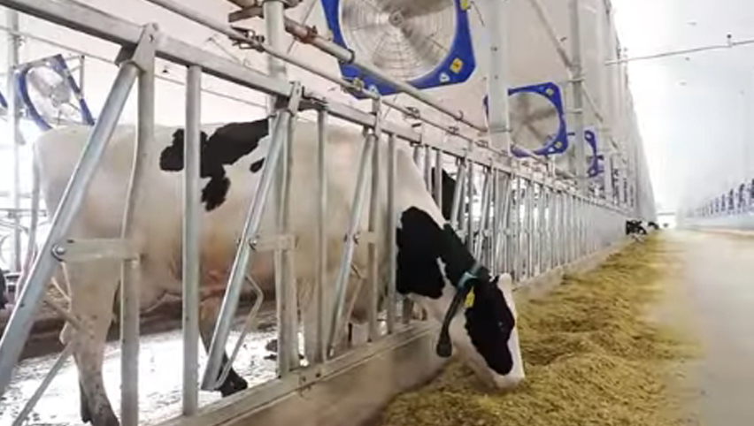 Ventilador de circulación de 45''