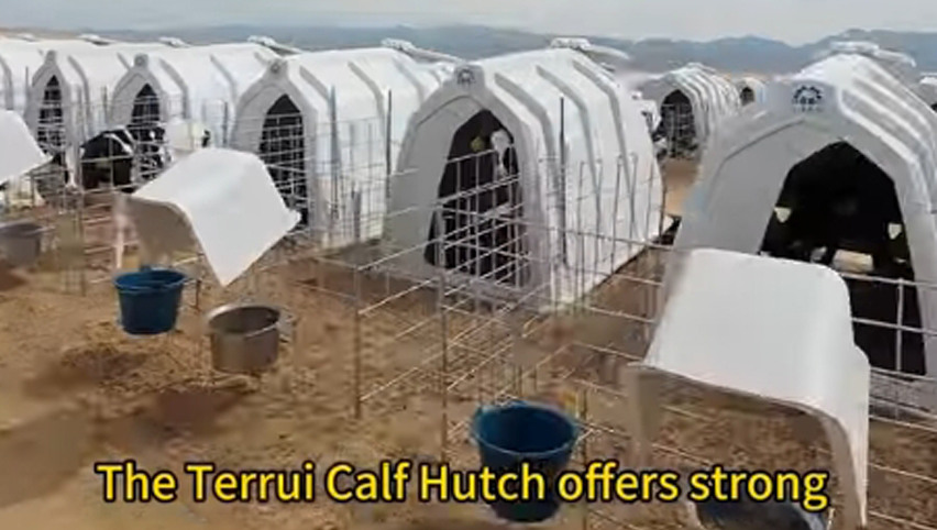 Conejera de pantorrilla