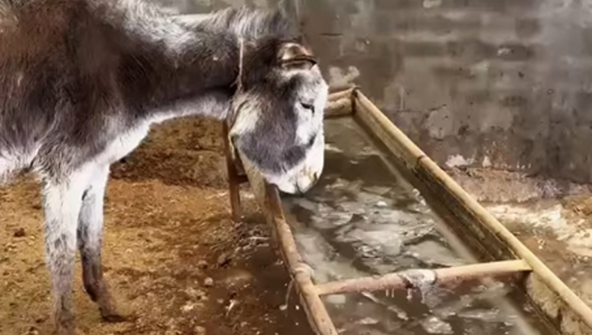 Comparación del fregadero