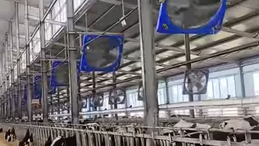 Ventiladores de circulación de 38 pulgadas