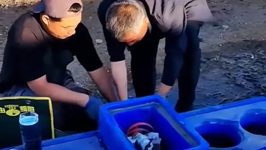 Abrevadero para ganado