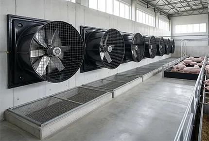 Cómo los ventiladores de extracción EC de alta eficiencia mejoran la calidad del aire y el bienestar del ganado
