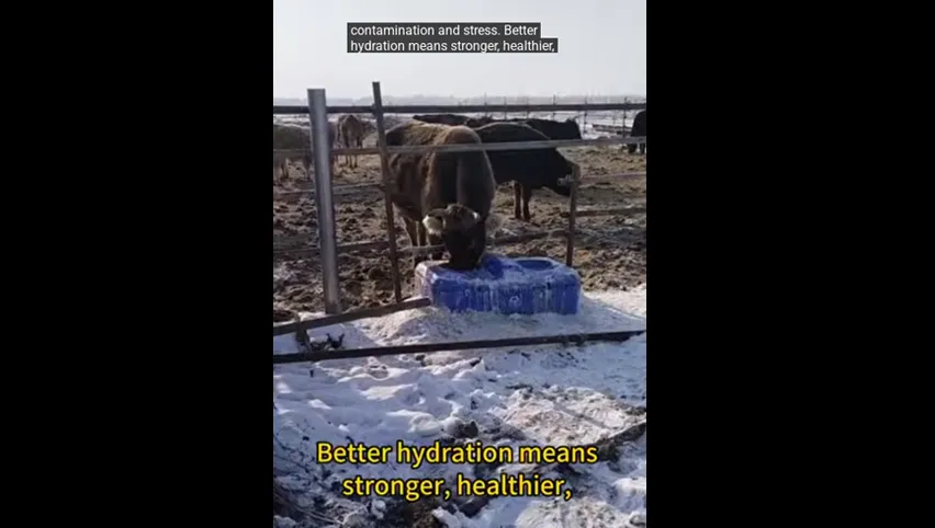 Ventilador de circulación de aire para aves de corral