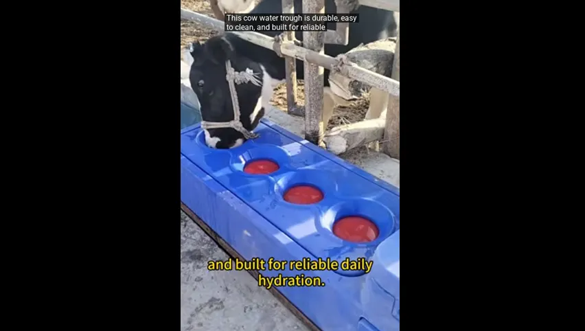 Bebedero automático para vacas