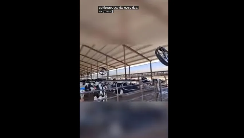 Bebedero de ganado de plástico azul