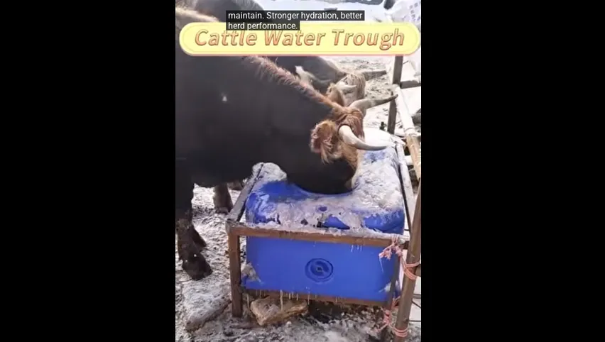 Cobertizo para vacas en venta