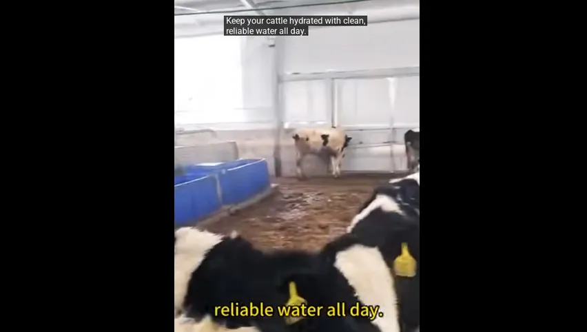 Inmovilizador de vacas