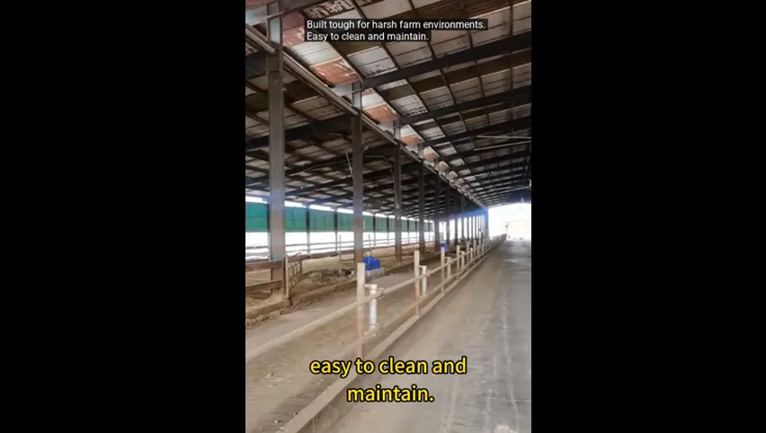 Bebedero para vacas