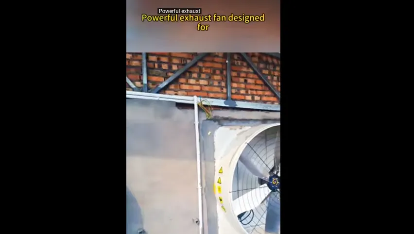 Ventilador de extracción en venta