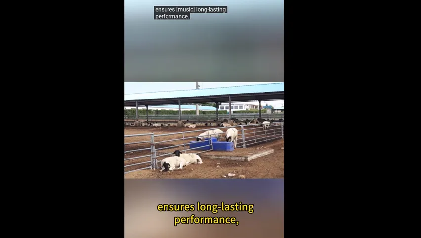 Bebedero calentado para cabras