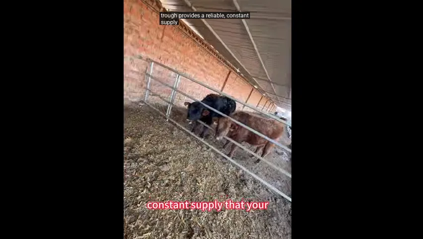 Bebedero de acero inoxidable para ganado