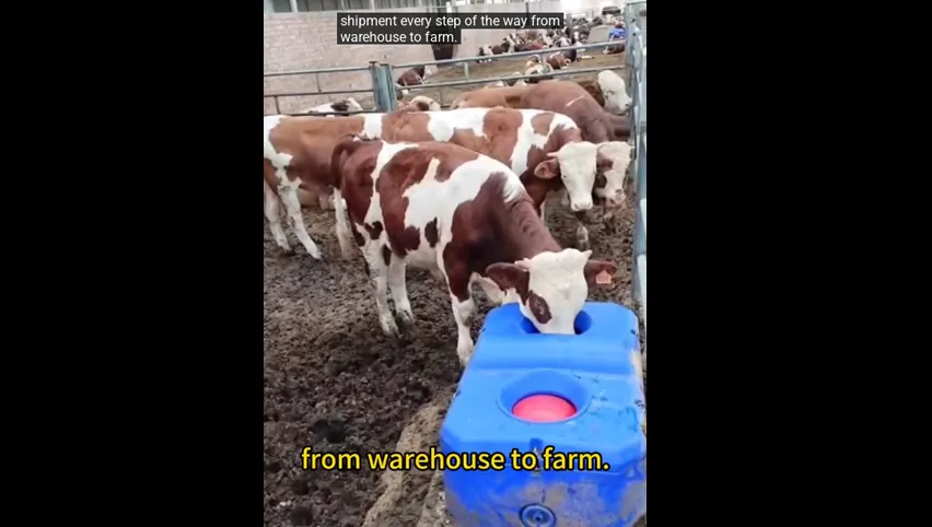 Bebedero de acero inoxidable para ganado