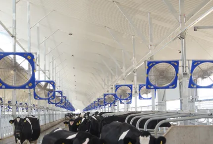 Adiós al mantenimiento de correas: ¿Por qué los ranchos modernos prefieren los ventiladores de circulación con accionamiento directo EC en 2026?