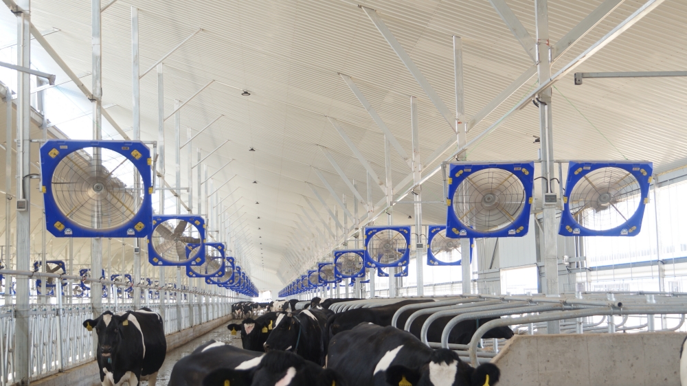 Ventilador de circulación Terrui 1.2m modelo 2026 para granjas de ganado vacuno, porcino, ovino y equino con motor EC