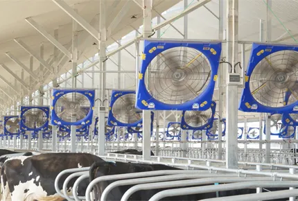 Evaluación estratégica: Manejo de la sensibilidad al flujo de aire en casetas para terneros con ventiladores de circulación de 38 pulgadas